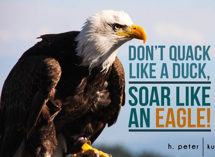 dont-quack-like-a-duck-soar-like-an-eagle